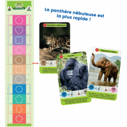 Défis Nature Junior Mystères de la Jungle - IkaIpaka Royan