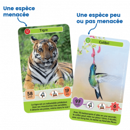 Défis Nature Junior Mystères de la Jungle - IkaIpaka Royan