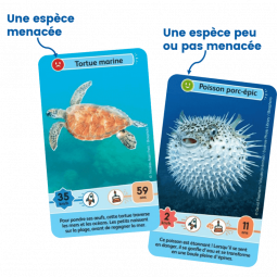 Défis Nature Junior Merveilles de la mer - IkaIpaka Royan