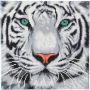 Crystal art Tableau Tigre des neiges - IkaIpaka Royan