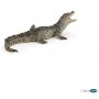 Bébé Crocodile Papo Papo Ikaipaka jeux & jouets Royan