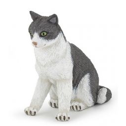 Chatte assise Papo - IkaIpaka Royan