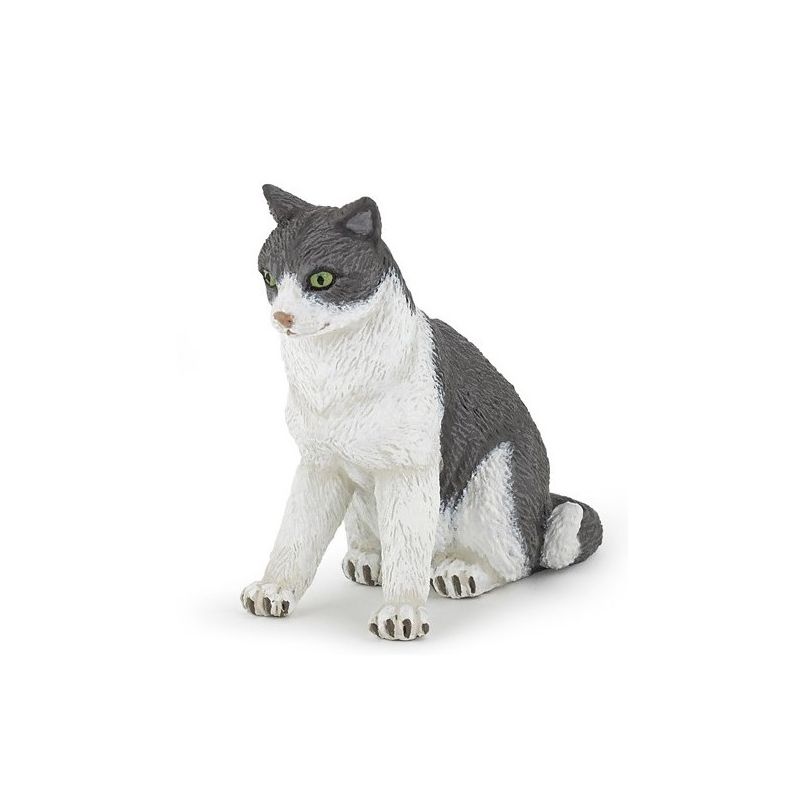 Chatte assise Papo - IkaIpaka Royan