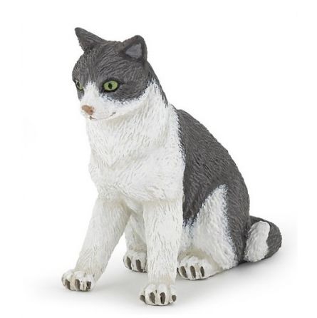 Chatte assise Papo - IkaIpaka Royan