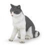 Chatte assise Papo - IkaIpaka Royan