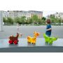 Animaux magnétiques Zoo Scratch Ikaipaka jeux & jouets Royan