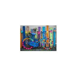 Puzzle 1000p My Beautiful Colorful Bike BlueBird Ikaipaka jeux