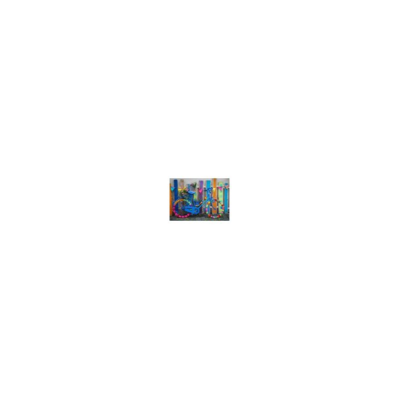 Puzzle 1000p My Beautiful Colorful Bike BlueBird Ikaipaka jeux