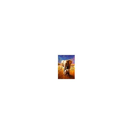 Puzzle 1000p Elephant - IkaIpaka Royan