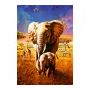 Puzzle 1000p Elephant - IkaIpaka Royan