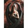 Puzzle 1000p Anne Stokes - Angel Rose - IkaIpaka Royan