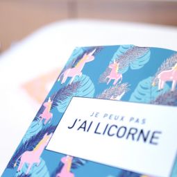 Bloc Licorne Agent PAPER Ikaipaka jeux & jouets Royan