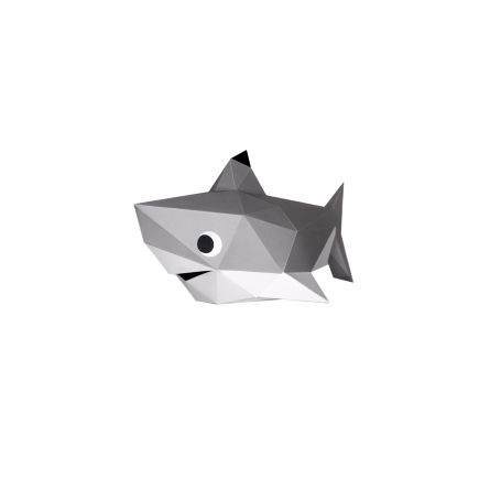 Les Babies Requin - IkaIpaka Royan