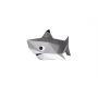 Les Babies Requin - IkaIpaka Royan