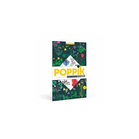 Discovery Astronomie Poppik - IkaIpaka Royan