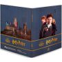 Album + 3 pièces Harry Potter  Ikaipaka jeux & jouets Royan