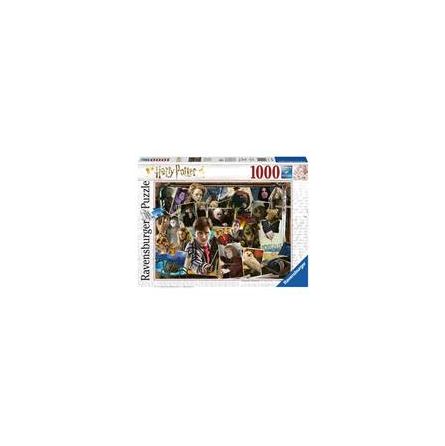 Puzzle 1000p : Harry Potter Contre Voldemort RAVENSBURGER - IkaIpaka Royan