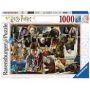 Puzzle 1000p : Harry Potter Contre Voldemort RAVENSBURGER - IkaIpaka Royan