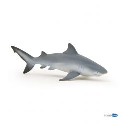 Requin Bouledogue - IkaIpaka Royan
