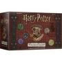 Harry Potter : Sortilèges et Potions (Ext2) - IkaIpaka Royan