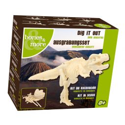 Squelette de Mini dinosaure à gratter - IkaIpaka Royan