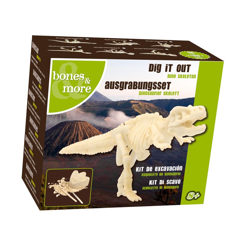 Squelette de Mini dinosaure à gratter - IkaIpaka Royan