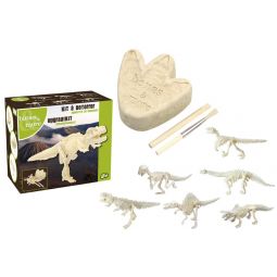Squelette de Mini dinosaure à gratter - IkaIpaka Royan