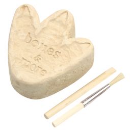 Squelette de Mini dinosaure à gratter - IkaIpaka Royan