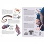 Atlas de la Biodiversité: Mers et Océans Sassi Ikaipaka jeux &