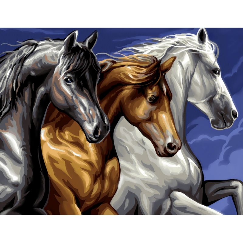 Peinture par numéro Cavalcade - IkaIpaka Royan