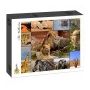 Puzzle 1500p  Collage - Wildlife Grafika - IkaIpaka Royan