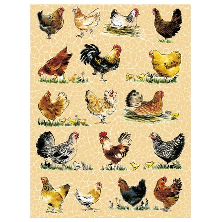 Pochette 3 feuilles N°559 Décopatch Ikaipaka jeux & jouets Royan