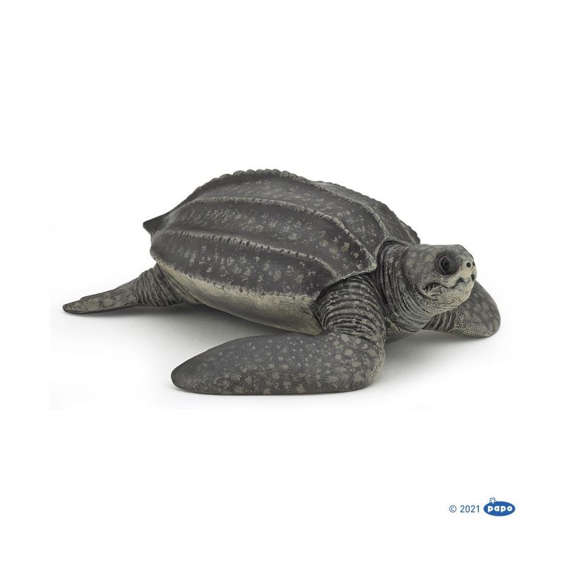 Tortue Luth PAPO - IkaIpaka Royan