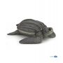 Tortue Luth PAPO - IkaIpaka Royan