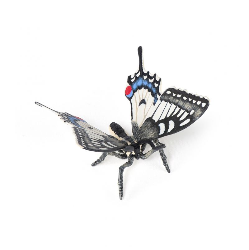 Papillon Machaon Papo - IkaIpaka Royan