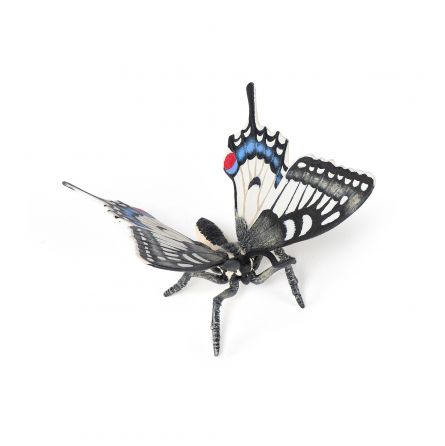 Papillon Machaon Papo - IkaIpaka Royan