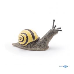 Escargot des bois ou Cagouille Papo - IkaIpaka Royan