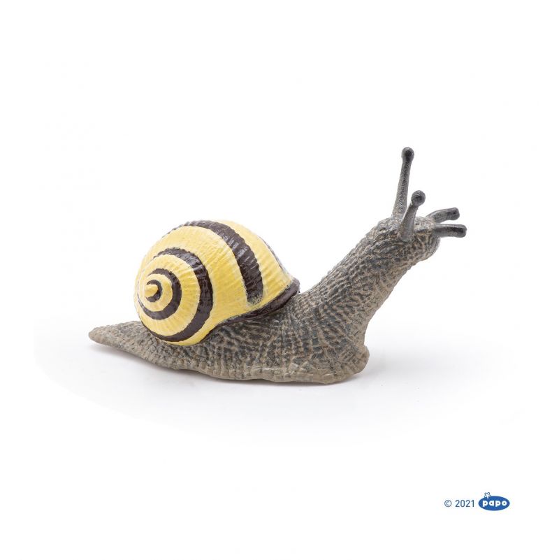 Escargot des bois ou Cagouille Papo - IkaIpaka Royan