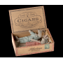 Maman et Papa dans une boite de cigare Maïleg - IkaIpaka Royan
