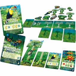 Canopee  Ikaipaka jeux & jouets Royan