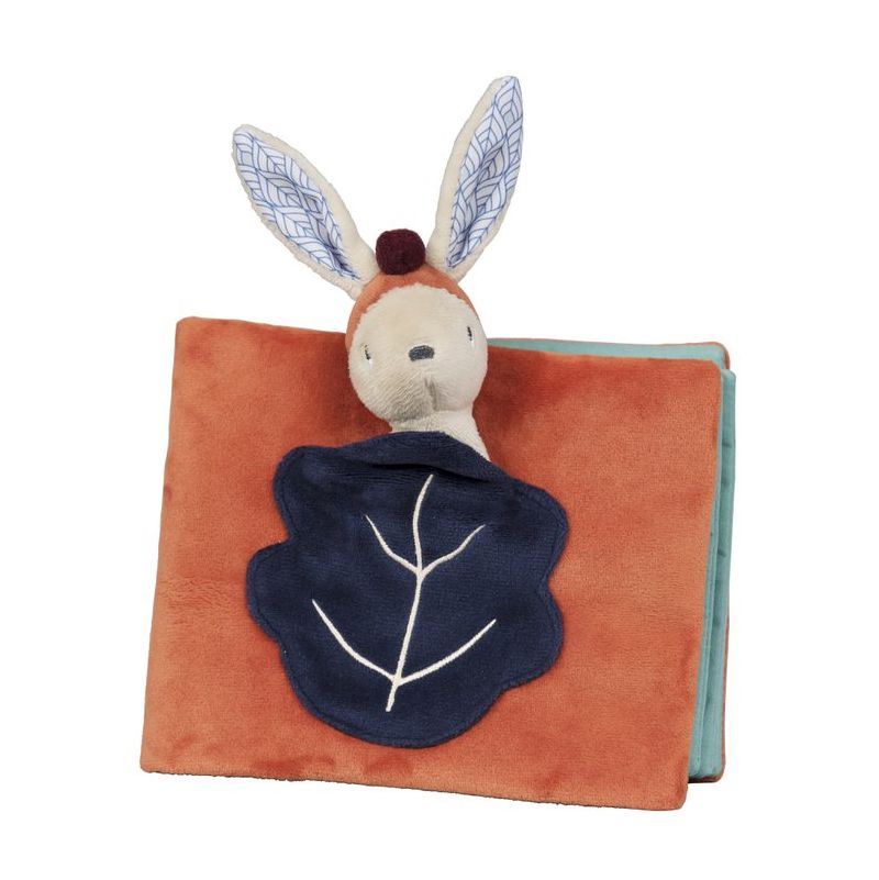 Gabin Lapin Album Photos Ebulobo Ikaipaka jeux & jouets Royan