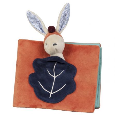 Gabin Lapin Album Photos Ebulobo Ikaipaka jeux & jouets Royan