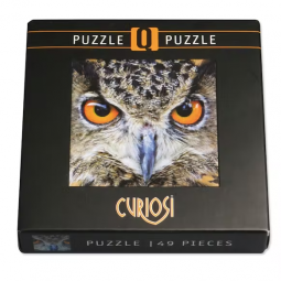 Puzzle Q 66p Hibou Curiosi - IkaIpaka Royan