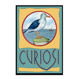 Puzzle 33p Mini Mouette Curiosi - IkaIpaka Royan