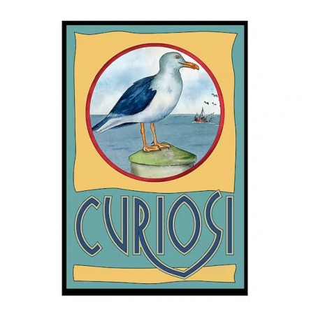 Puzzle 33p Mini Mouette Curiosi - IkaIpaka Royan