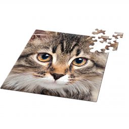 Puzzle Q 66p Chat Curiosi - IkaIpaka Royan