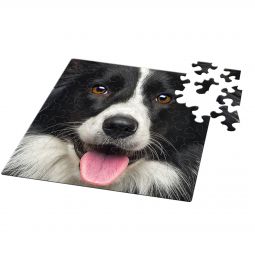 Puzzle Q 66p Chien Curiosi - IkaIpaka Royan