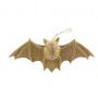 Chauve souris Décopatch Décopatch Ikaipaka jeux & jouets Royan