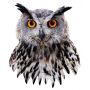 Puzzle 300p I AM mini Hibou - IkaIpaka Royan