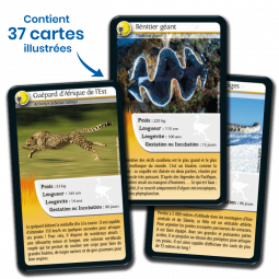 Défis Nature Records des animaux Bioviva Ikaipaka jeux & jouets